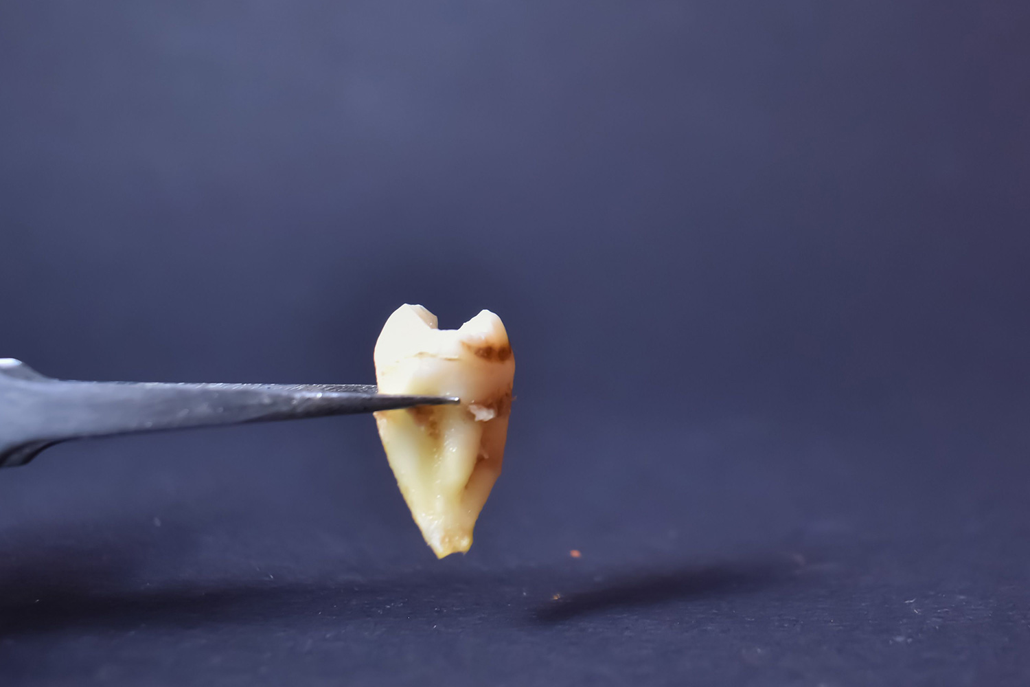 Dental Office